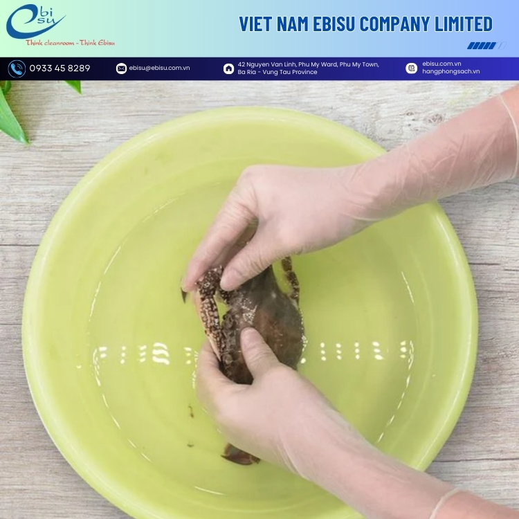 Găng Tay Vinyl Phòng Sạch 12 Inch - Ảnh 3