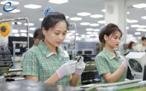 bao tay phủ PU ngón