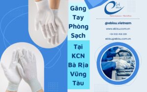 Găng Tay Phòng Sạch Bà Rịa Vũng Tàu
