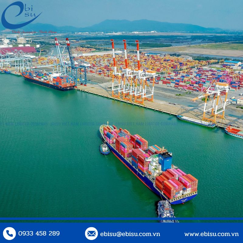 Găng Tay Phòng Sạch Bà Rịa Vũng Tàu