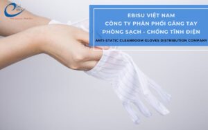 công ty chuyên găng tay phòng sạch